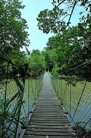 SIMILAJAU NATIONAL PARK 11 (1)_1 (1).jpg