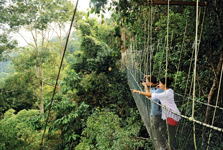 Malasia Viajes | Canopy