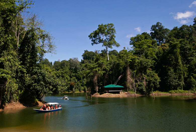 Malasia Viajes | Paseo en barco, Royal Belum Rainforest