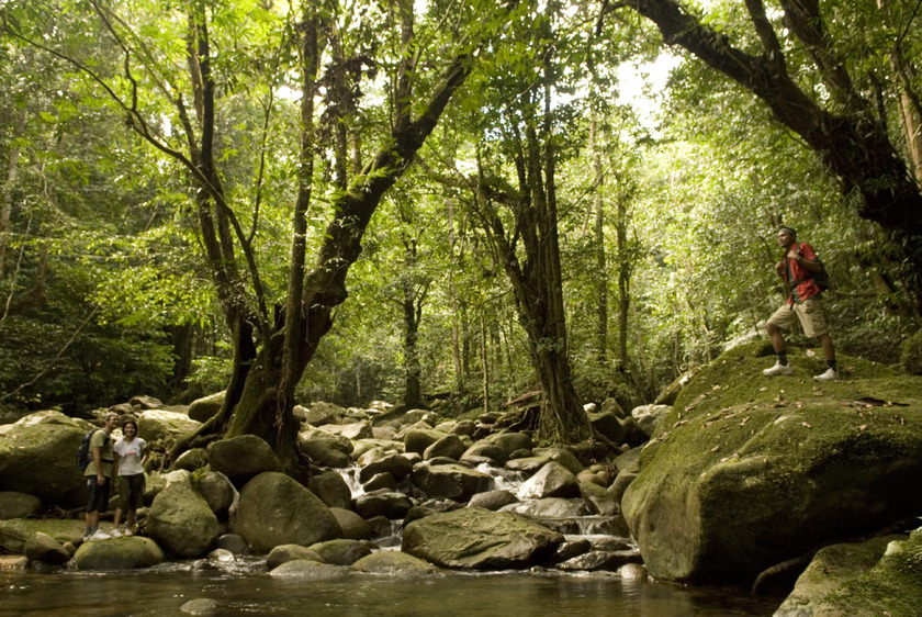 taman-negara-trekking.jpg