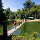 Malasia Viajes | Puente, Royal Belum Rainforest