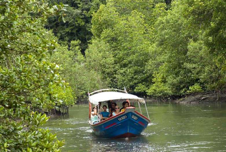 Malasia Viajes | Manglares, Langkawi