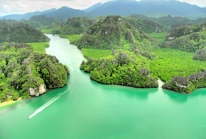 Malasia Viajes | Manglares, Langkawi