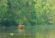 Malasia-Viajes-Kinabatangan-Barca.jpg