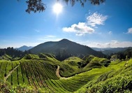 cameron highlands llegada.jpg