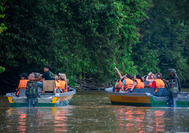 kinabatangan-borneo.jpg